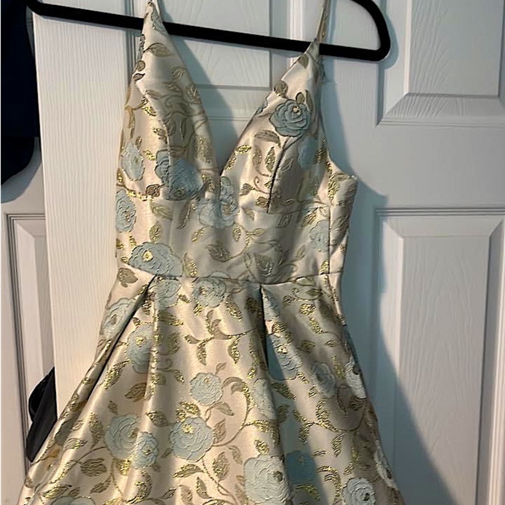 Homecoming/party dress. Juniors size 1/2 has built in cups and pockets!